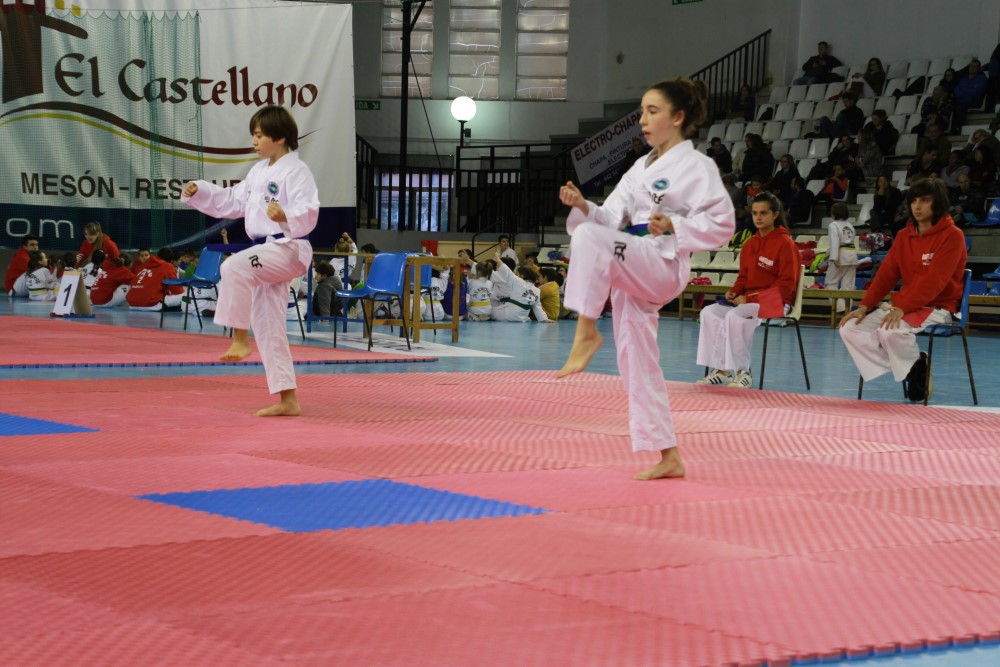 Taekwondo Dic 2016 (215).jpg
